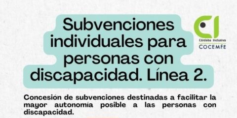 Ayudas individuales para personas con discapacidad Línea 2 Junta de