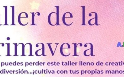 Taller de la Primavera en APANNEDIS