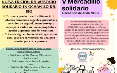 V Mercadillo Solidario a beneficio de APANNEDIS