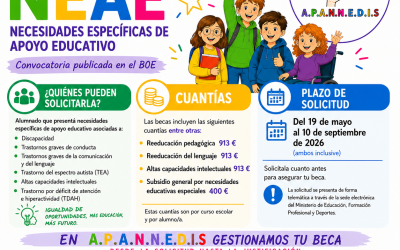 CONVOCATORIA BECA NEAE CURSO 2026-2027
