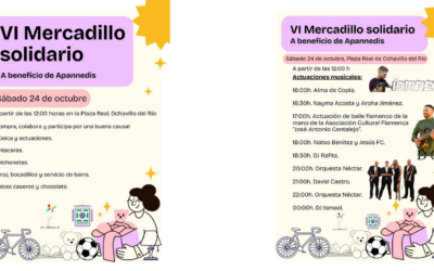 MERCADILLO SOLIDARIO